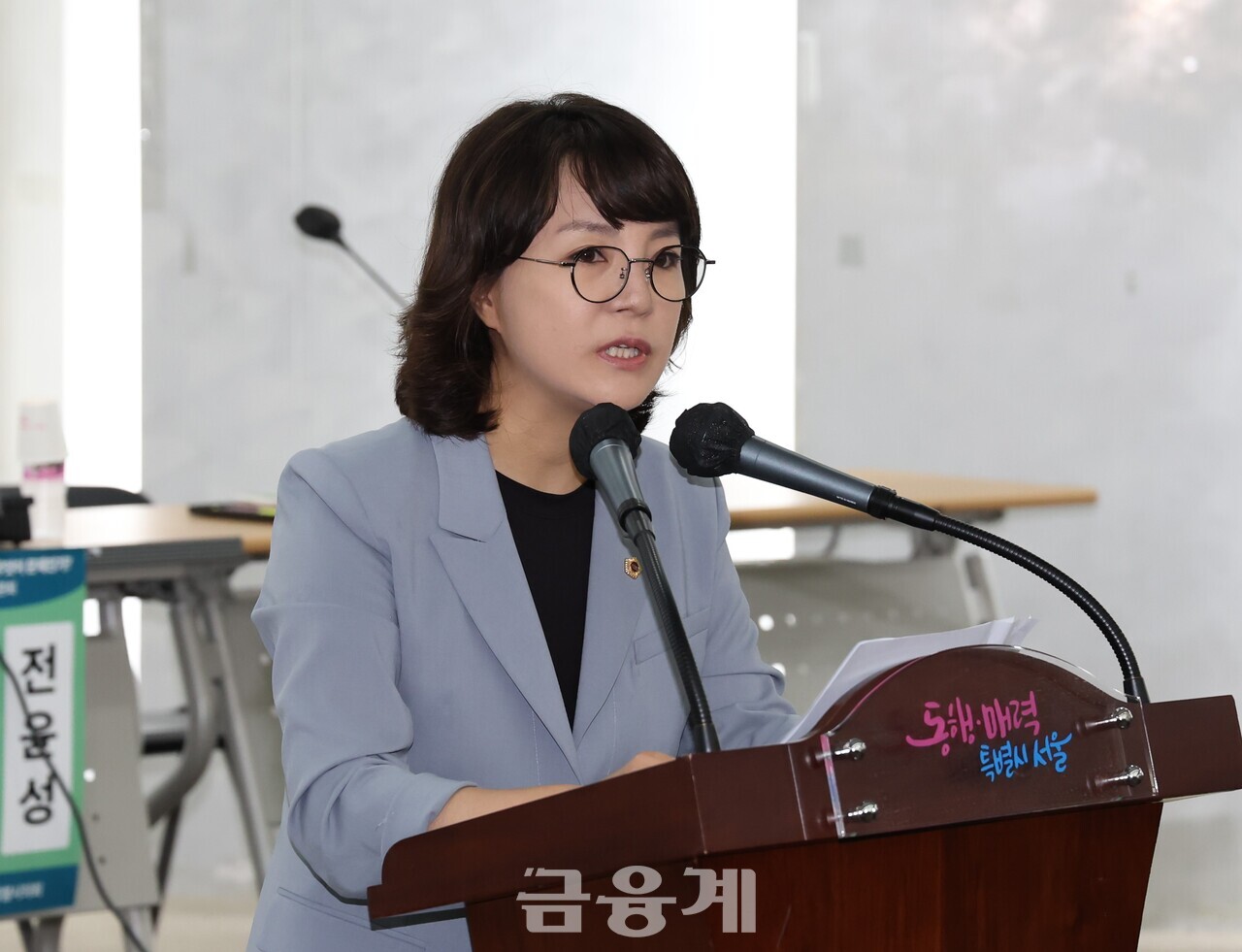 서울특별시의회 김혜영 의원
