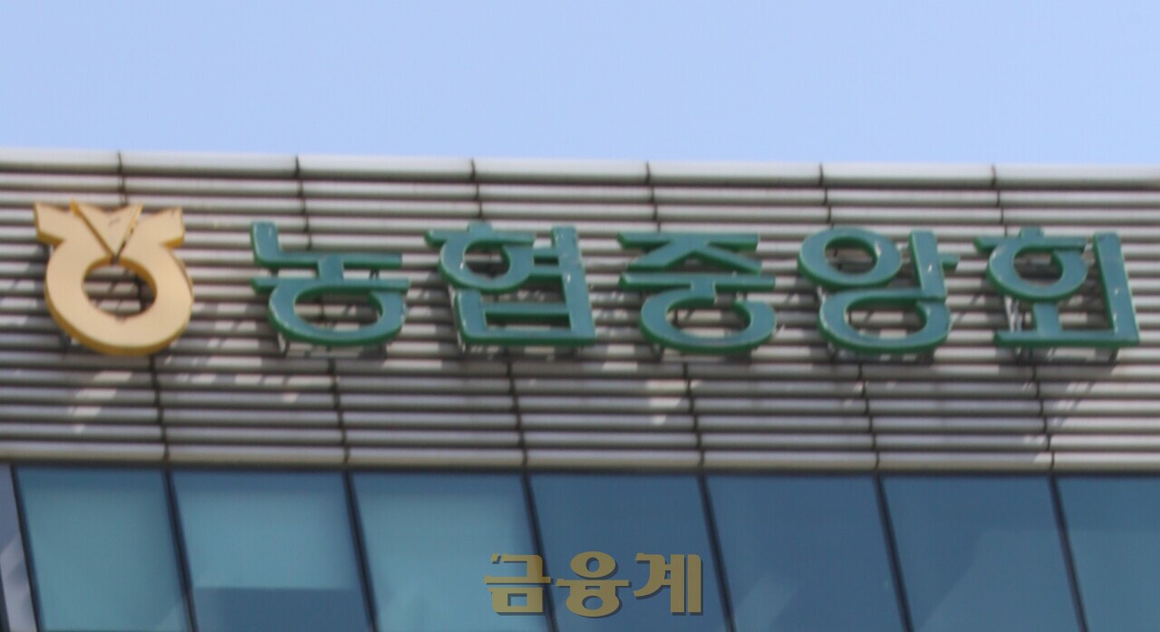 NH농협은행, 설 연휴 비상대응 점검 < 이시간주요뉴스 < 은행 < 금융경제 < 기사본문 - 금융계